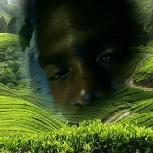 Meet your Posher, Teddy